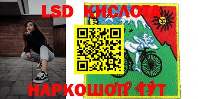 стаф Кингисепп