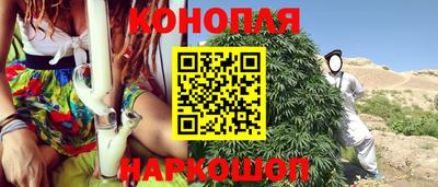 стаф Кингисепп