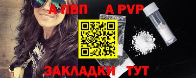 стаф Кингисепп
