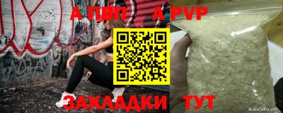 стаф Кингисепп