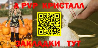 стаф Кингисепп