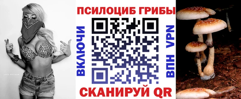 Псилоцибиновые грибы ЛСД  МЕГА ONION  Краснодар 