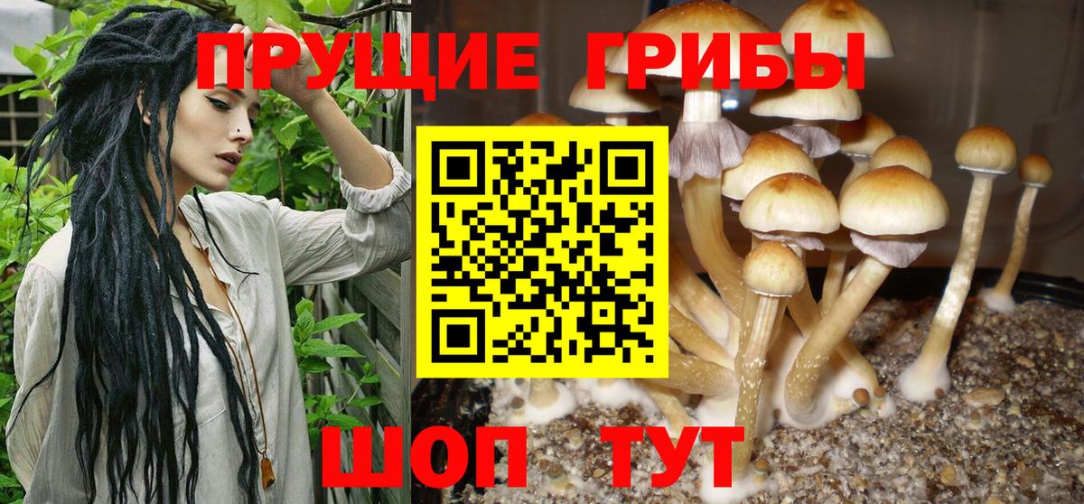 Псилоцибиновые грибы мухоморы Краснодар